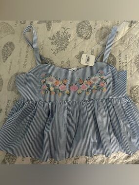 Altar'd State Fern Blue & White Striped Floral Embroidered Crop Top